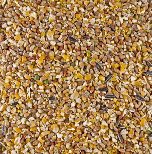 Deli Nature Körnermischung für Geflügel 20 kg