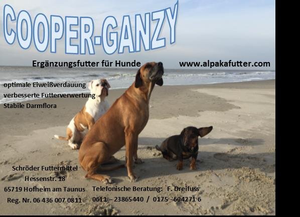 Cooper Ganzy 1 kg